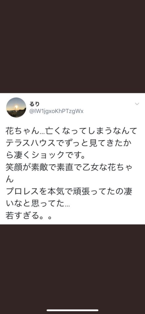 木村花　テラスハウス　自殺　誹謗中傷　Twitter　ツイッター